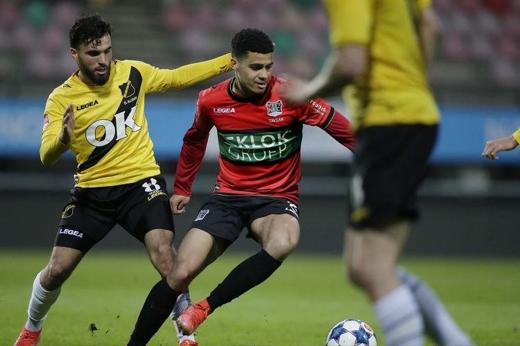 冕冠军的马 冕冠军的马