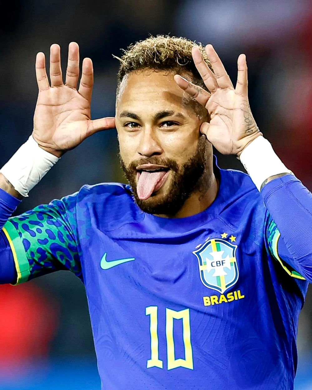 场馆设施 场馆设施