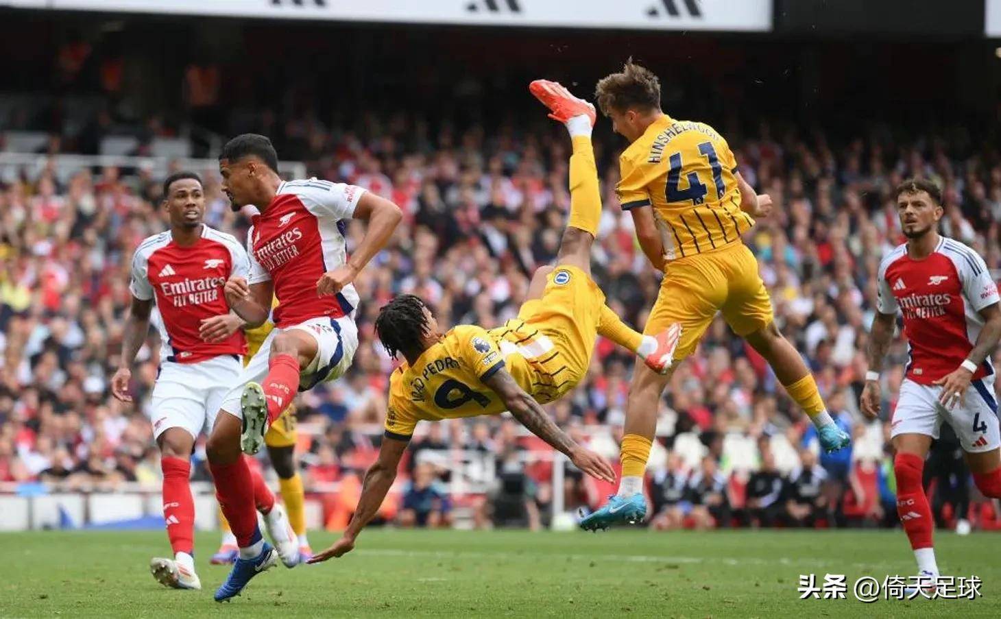 叙事与市场 叙事与市场